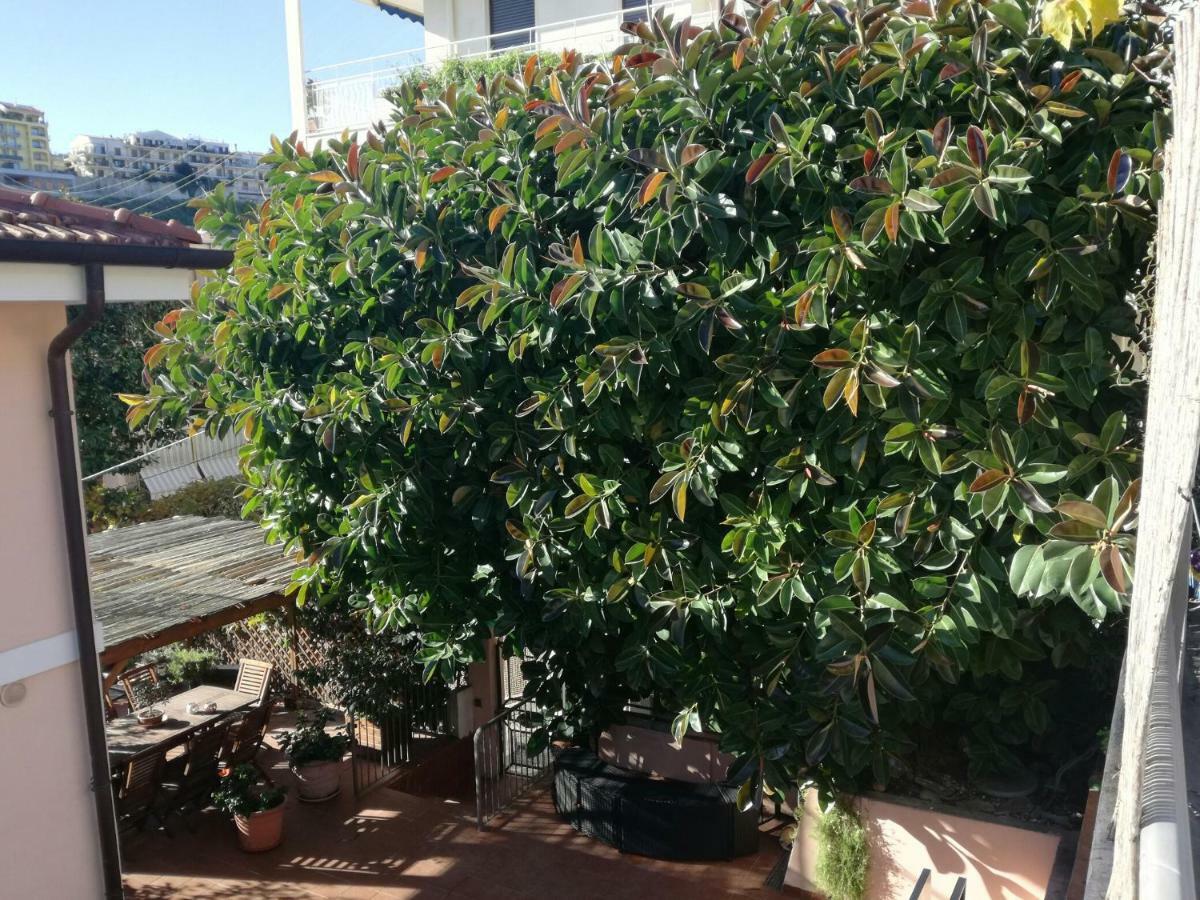 Villa Bruna B&B San Remo Kültér fotó